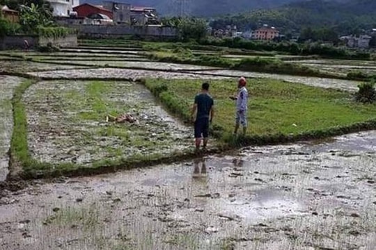 Triệu tập thêm nhiều nghi can trong vụ chém chết hai vợ chồng chủ nợ ở Điện Biên