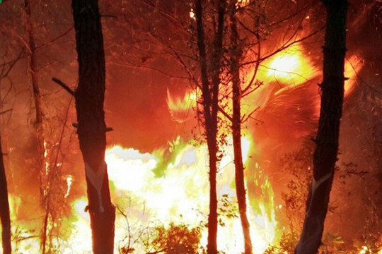 Nghệ An làm rõ nguyên nhân làm cháy rừng liên tiếp 2 ngày qua