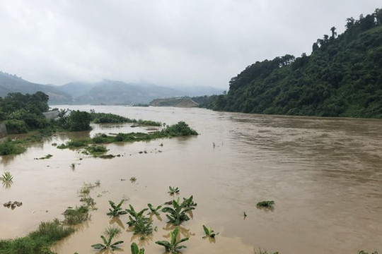 Lũ lớn kéo về, sông Hồng qua TP Lào Cai mênh mông nước