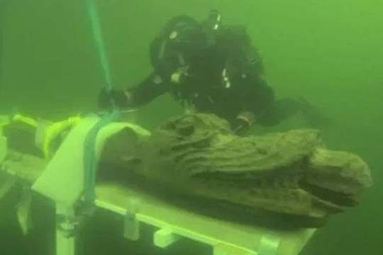 Phát hiện kinh ngạc về xác tàu đắm 'quái vật biển' 500 năm trước vừa được tìm thấy