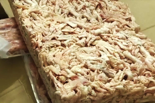 Phá kho hàng 24 tấn nội tạng lợn nhiễm dịch tả lợn châu Phi