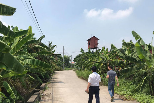 Vụ bé gái ở Hà Nội bị hãm hiếp trong vườn chuối: Hai cháu bé chạy lại cổng trang trại la hét