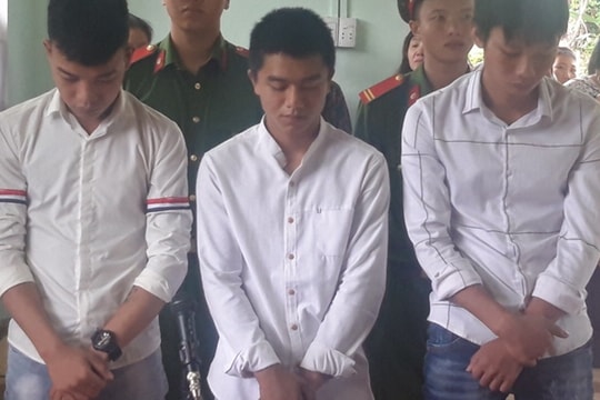 Chặt phá cờ, 3 thanh niên bị kết tội 'xúc phạm quốc kỳ'