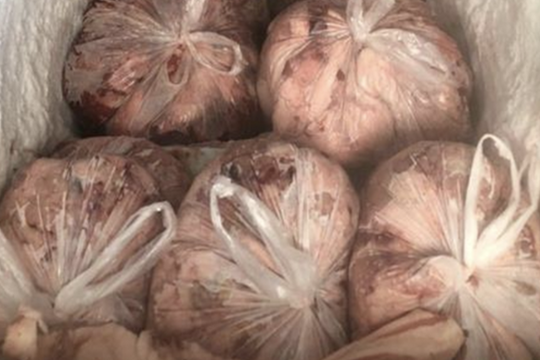 Phát hiện 1,5 tấn thịt heo thối chuẩn bị đem đi tiêu thụ