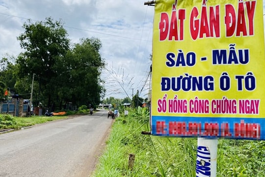 Chủ nhà bắt tay 'cò' đất 'nuốt' tiền cọc: Cẩn thận dính cú lừa đắng!