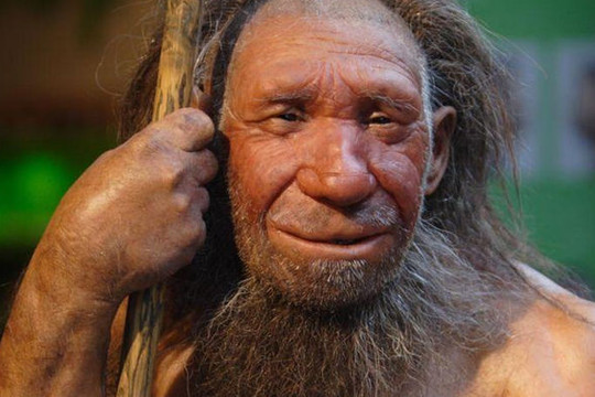 Người thừa hưởng gene người Neanderthal có nguy cơ mắc Covid-19 cao hơn