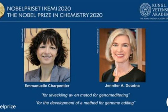 Nobel Hóa học 2020 về tay 2 nhà khoa học nữ nghiên cứu chỉnh sửa gene