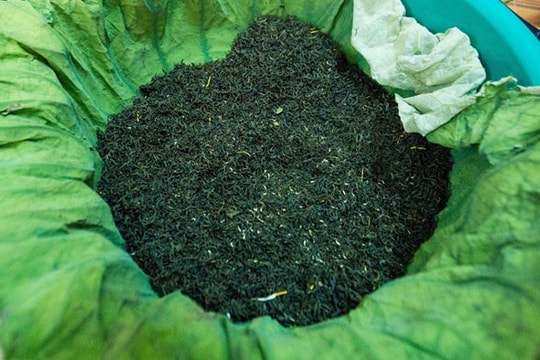 Đại gia Hà Nội tìm mua “đệ nhất trà” đắt nhất Việt Nam giá 10 triệu đồng/kg