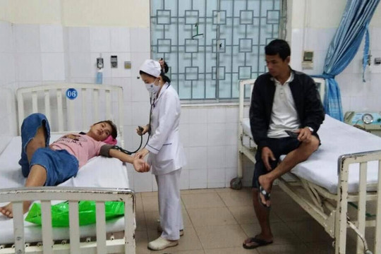 Ăn nấm lạ, 8 người ở Quảng Ngãi bị ngộ độc