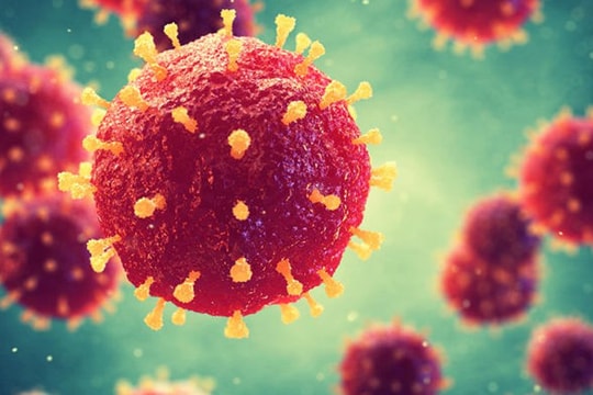 Bé sơ sinh tử vong khi vừa chào đời do mẹ nhiễm virus CMV