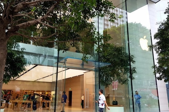 iPhone 12 mở bán, thị trường Việt Nam vẫn im ắng