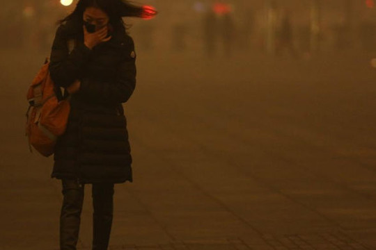 Ô nhiễm không khí khiến 500.000 trẻ sơ sinh tử vong
