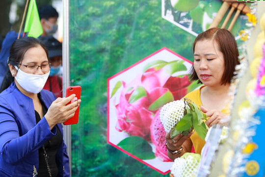 Đặc sản na khổng lồ Lạng Sơn 'hút' khách ở Hà Nội