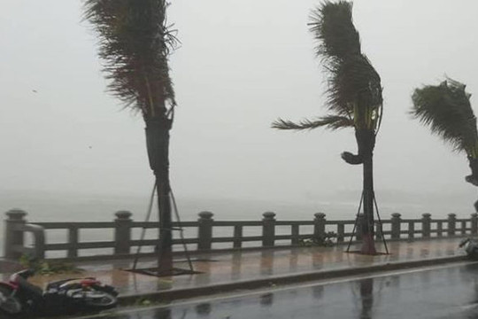 Bão số 12: Khánh Hòa, Phú Yên gió bão giật cấp 11, nhiều nơi mất điện