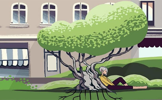 Điều gì xảy ra nếu chặt hết cây xanh trong thành phố?