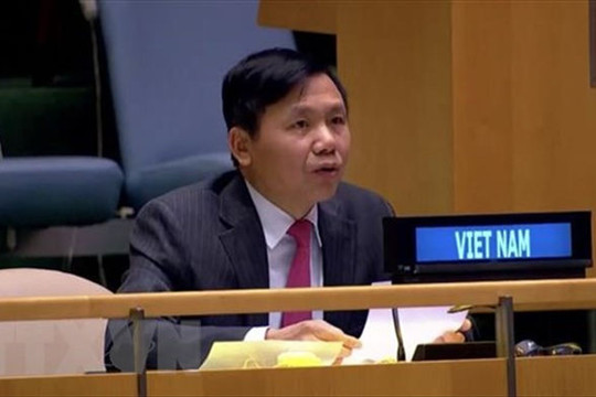 Việt Nam chủ trì họp Nhóm công tác về các tòa án quốc tế