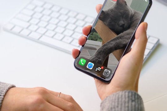 Cách đổi hình nền iPhone hoặc iPad chỉ với một chạm