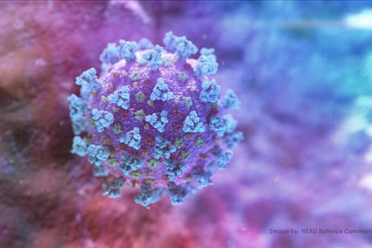 WHO: Xuất hiện biến thể mới của virus SARS-CoV-2 tại Nam Phi