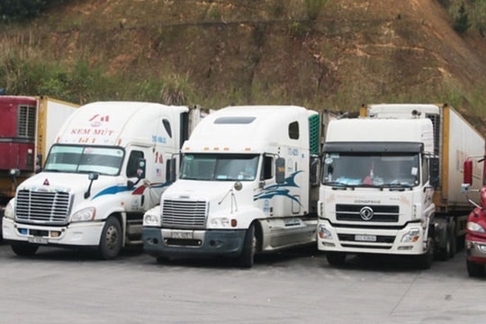 Hải quan sắp bán đấu giá 100 xe tải chở hàng hoá vô chủ