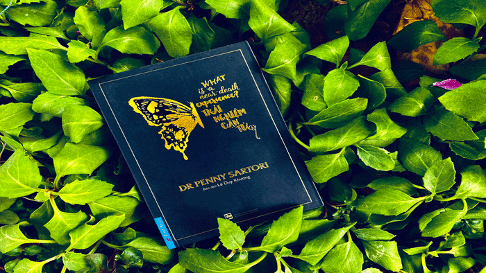 Trải nghiệm cận tử