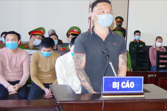 Tòa án quân sự tuyên phạt 48 năm tù nhóm đối tượng 'bức tử' rừng thông