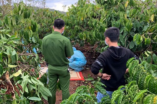 Điều tra vụ phát hiện nửa thi thể nam thanh niên trong rẫy cà phê