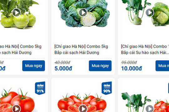 Bắp cải, cà chua 1 nghìn đồng/kg, ship tận bếp chỉ 9 nghìn đồng