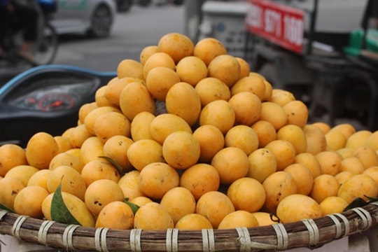 'Sốt' thanh trà dọc vỉa hè Hà Nội, giá 200.000 đồng/kg