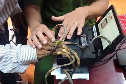 'Đánh vật' 25 phút không lấy nổi vân tay người có bộ móng dài nhất Việt Nam