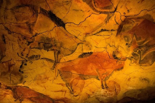Người cổ đại đã tạo ra nghệ thuật hang động trong khi bị ảo giác?