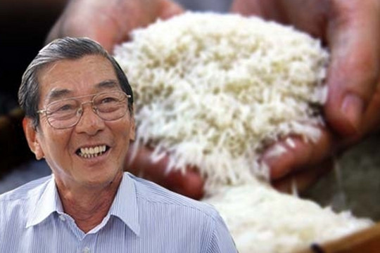 Bị thoá mạ việc mang gạo ST25 đi thi, kỹ sư Hồ Quang Cua lần đầu lên tiếng