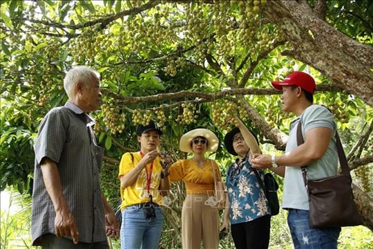 Phát triển bền vững du lịch nơi cực Nam đất nước (Bài cuối)