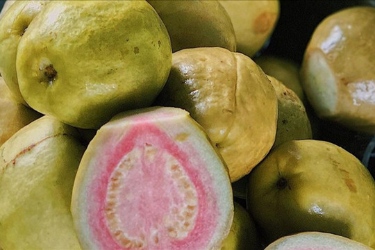 Xe trái cây dạo 30 năm 'gây nghiện' với món lạ 'ổi luộc chấm mắm ruốc'