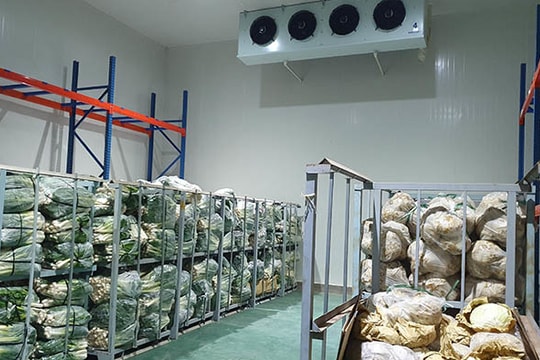 Covid-19 bùng phát, loại dịch vụ đặc chủng thiếu hụt nghiêm trọng