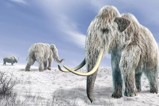 Phát hiện 5 sinh vật tiền sử 'ẩn sâu' bên trong lớp băng dày ở vùng Siberia
