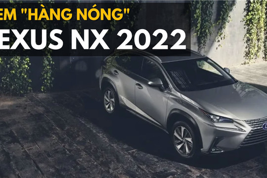 Lexus NX2022 ra mắt: Rất nhiều điểm mới