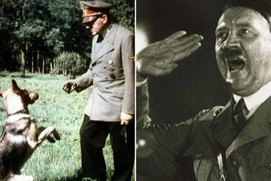 Bí mật về đội quân 'chó biết nói' của Đức Quốc xã