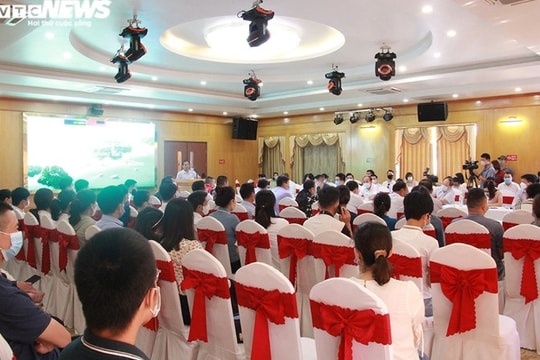 Hơn 500 tàu du lịch ‘chờ chết’ trên vịnh Hạ Long: Các chủ tàu vay hơn 1.800 tỷ
