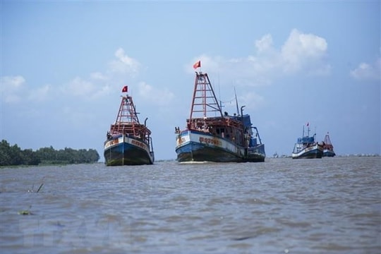 Các nước tham gia Nhóm bạn bè của UNCLOS đề cao luật pháp quốc tế