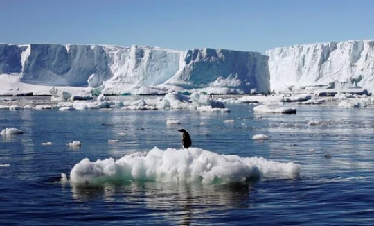 Bán đảo Nam Cực ghi nhận mức nhiệt cao kỷ lục - 18,3 độ C
