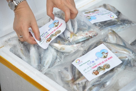 TP.HCM tiếp nhận ba tấn cá 'nghĩa tình' đầu tiên của người Quảng Bình gửi tặng