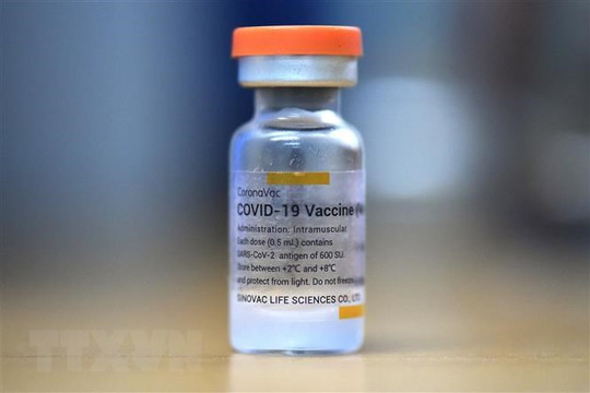 Singapore: Vaccine Sinovac không nằm trong tiêm chủng quốc gia