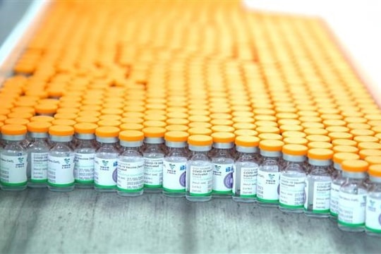 Cơ chế COVAX có thêm nguồn cung mới vaccine ngừa COVID-19