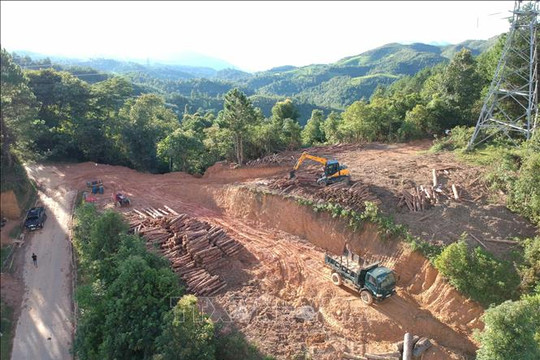 Vụ phá rừng trên đèo Pha Đin: Tạm đình chỉ Hạt trưởng hạt Kiểm lâm huyện Tuần Giáo