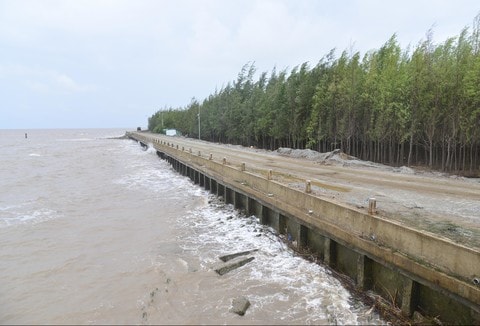 Vụ "Bỗng dưng phải nộp thuế hơn 26 tỷ đồng ở Cà Mau": Đại biểu Quốc hội lên tiếng