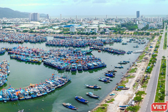 Từ 15h ngày mai (26/7), Đà Nẵng tạm dừng hoạt động cảng cá Thọ Quang vì COVID-19