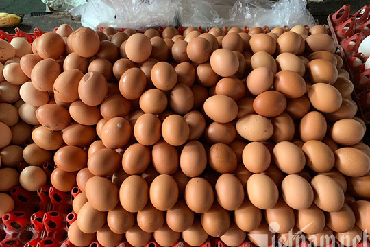 Hà Nội: Trứng gà tăng giá mạnh, nhiều nơi ‘cháy hàng’