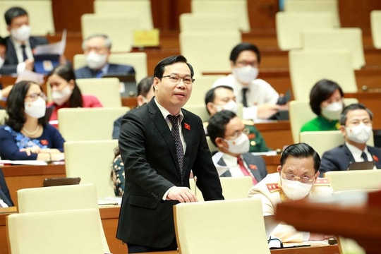 ĐBQH: Đánh giá đúng cơ cấu lãng phí để có giải pháp đột phá