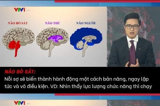 MC Trần Ngọc 'lửa cháy đổ thêm dầu' khi VTV ví von 'não người, não thú'