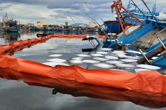 Đà Nẵng: Xử lý sự cố tràn dầu do tàu chìm tại Âu thuyền cảng cá Thọ Quang